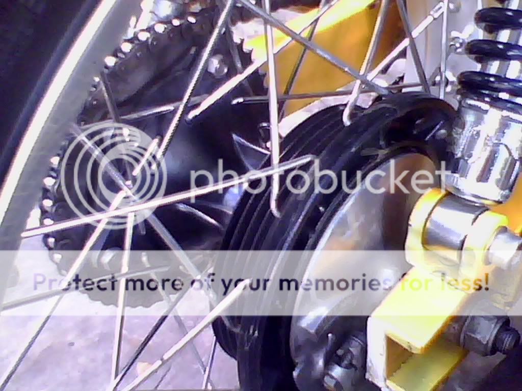 tiger racing knalpot buat 2000 Berhadiah Gambar,Spoiler,Video masukin Tempat dll Latihan Cendol]