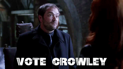 Vote crowley photo Vote-crowley_zps12752e38.gif