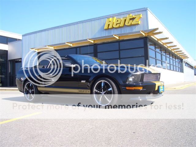 Posted Image