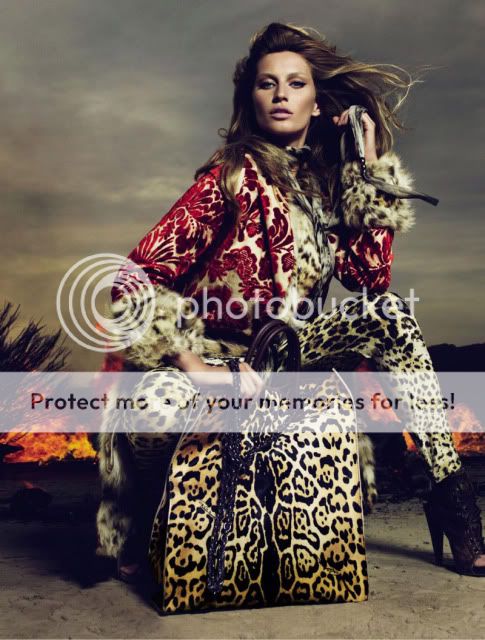 Roberto Cavalli 3