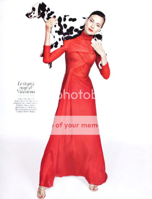 fashion editorials,fashion muses