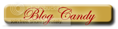 Blog Candy Form