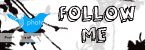 Follow me on Twitter
