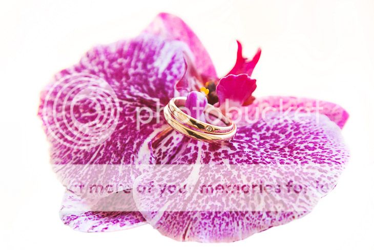  photo foto-1c_zpse91036c0.jpg