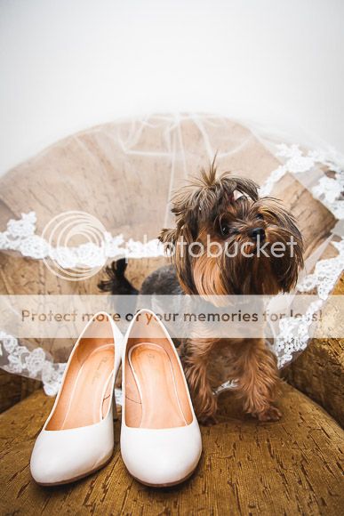  photo foto-7_zps64ae8be2.jpg