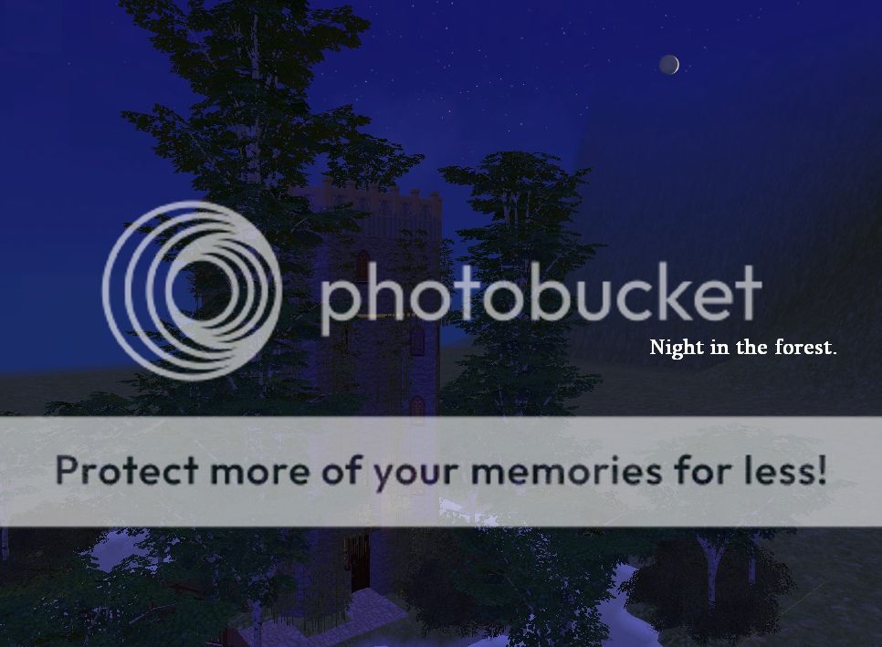 Nightintheforest_zps84e39070.jpg